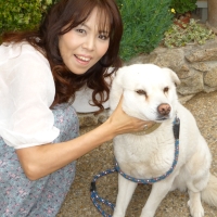 ハピネスハート婚活カウンセラー齊藤と犬ラックとの写真